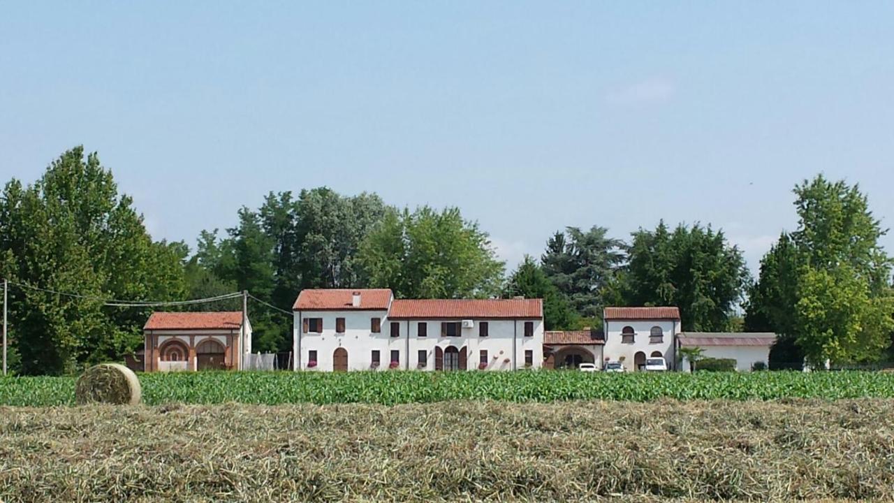 Bed and Breakfast La Casa Delle Rondini Roncoferraro Экстерьер фото